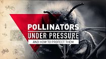 Watch Pollinators Under Pressure (Short 2018)