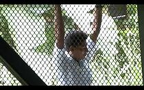 Watch The Last Shamans