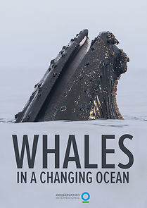 Watch Whales in a Changing Ocean (Short 2021)