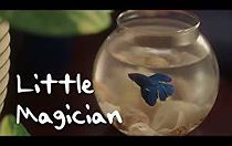 Watch Little Magician