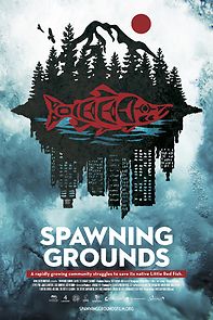 Watch Spawning Grounds: Saving the Little Red Fish