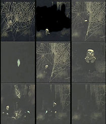 Watch Pauk (Short 1970)