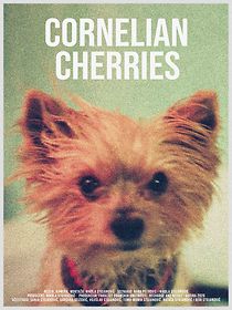 Watch Cornelian Cherries