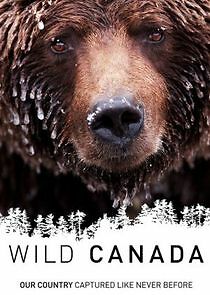 Watch Wild Canada