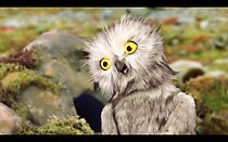 Watch The Owl and the Lemming (Short 2016)