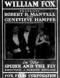 Watch The Spider and the Fly