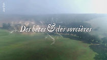 Watch Des bêtes et des sorcières