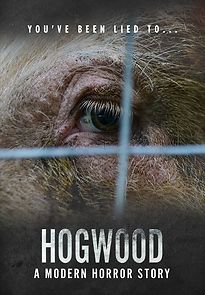 Watch Hogwood: A Modern Horror Story