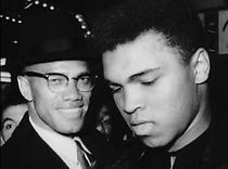 Watch Tracy Chapman: Born to Fight