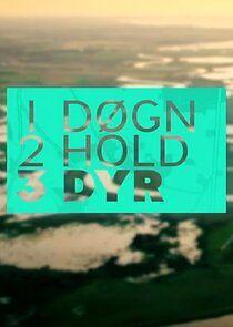 Watch 1 døgn, 2 hold, 3 dyr