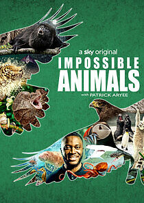 Watch Impossible Animals
