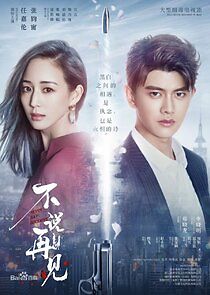 Watch Never Say Goodbye