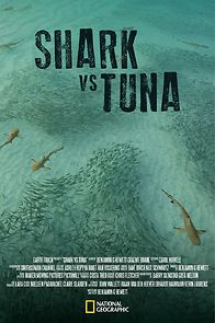 Watch Shark vs Tuna