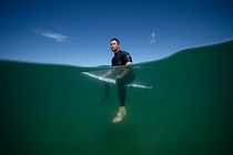 Watch Shark Beach with Chris Hemsworth