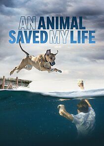 Watch An Animal Saved My Life