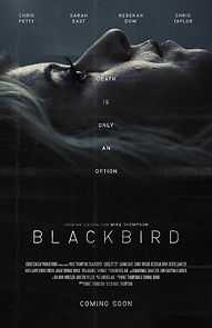 Watch Blackbird (Short 2020)