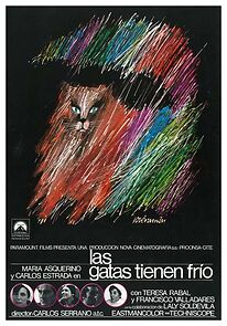 Watch The Cats Are Cold