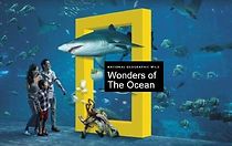 Watch Wonders of the Ocean