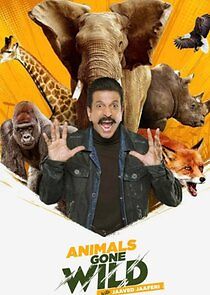 Watch Animals Gone Wild with Jaaved Jaaferi