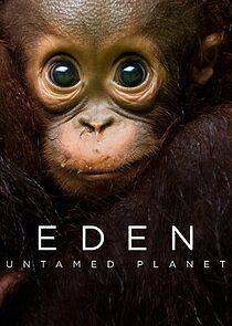 Watch Eden: Untamed Planet