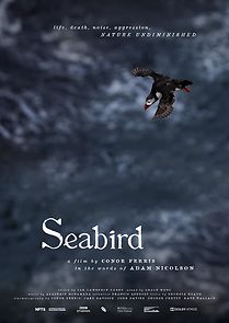 Watch Seabird (Short 2021)
