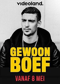 Watch Gewoon Boef