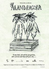 Watch Mandrake (Short 2015)