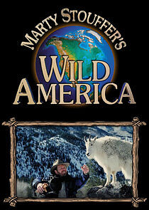 Watch Marty Stouffer's Wild America