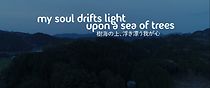 Watch My Soul Drifts Light