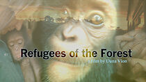 Watch Refugees of the Forest