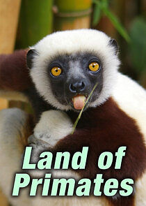 Watch Land of Primates