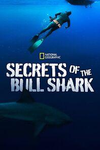 Watch Secrets of the Bull Shark (TV Special 2020)