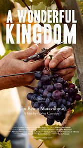Watch A Wonderful Kingdom