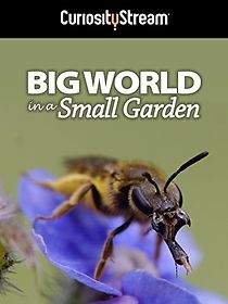 Watch Big World in a Small Garden (TV Short 2016)