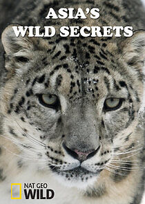 Watch Asia's Wild Secrets