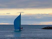 Watch Social Distancing