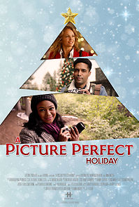 Watch A Picture Perfect Holiday