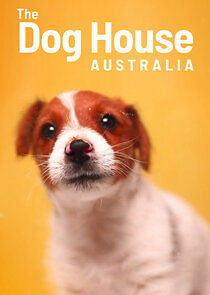 Watch The Dog House Australia