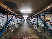 Watch The Night (Short 2021)