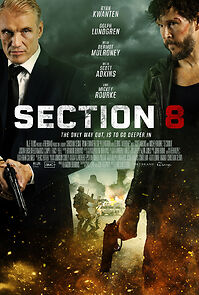 Watch Section 8
