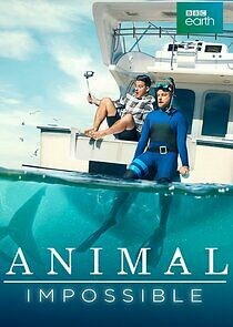 Watch Animal Impossible