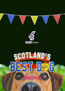 Watch Scotland's Best Dog