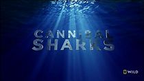 Watch Cannibal Sharks