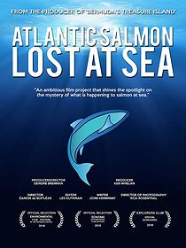 Watch Atlantic Salmon: Lost at Sea