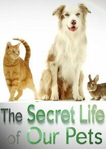 Watch The Secret Life of Our Pets