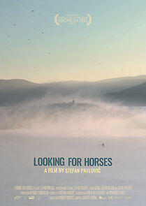 Watch Looking for Horses