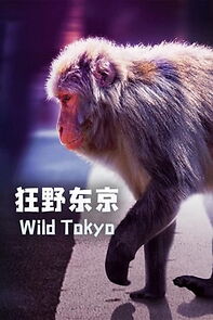 Watch Wild Tokyo (TV Special 2020)