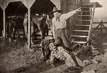 Watch The 'Schoolmarm' of Coyote County (Short 1911)