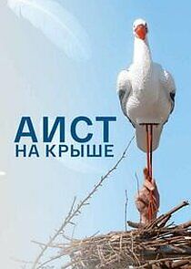 Watch Аист на крыше
