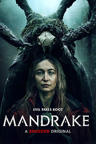 Watch Mandrake